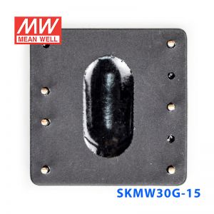 SKMW30G-15 30W 18~75V 转 15V 2A 非稳压单路输出DC-DC模块电源