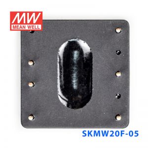 SKMW20F-05 20W 9~36V 转 5V 4A 非稳压单路输出明纬DC-DC模块电源