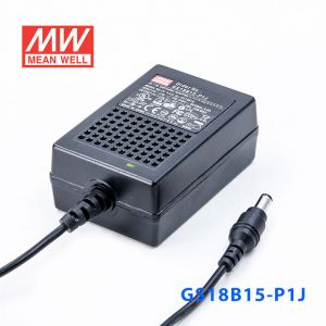 GS18B15-P1J 18W 15V1.2A 输出绿色能源明纬电源适配器(双线插口)