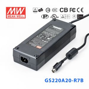 GS220A20-R7B 220W 20V11A 输出绿色能源明纬电源适配器(三线插口)