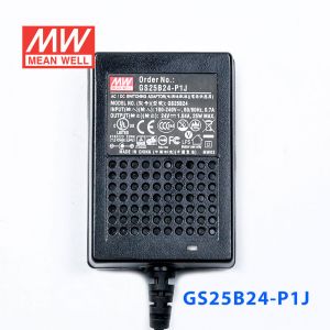 GS25B24-P1J 25W 24V1.04A 输出绿色能源明纬电源适配器(双线插口)