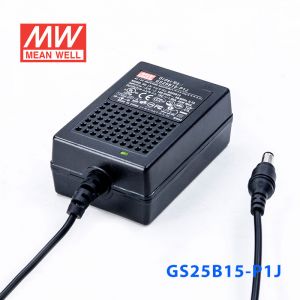 GS25B15-P1J 25W 15V1.66A 输出绿色能源明纬电源适配器(双线插口)