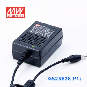 GS25B28-P1J 25W 28V0.89A 输出绿色能源明纬电源适配器(双线插口)