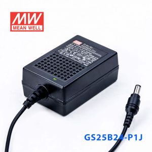 GS25B24-P1J 25W 24V1.04A 输出绿色能源明纬电源适配器(双线插口)