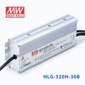 HLG-320H-30B  320W  30V 10.7A 强耐环境恒压+恒流PFC高效铝壳IP67防水LED电源(控制线三合一调光) 